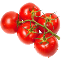 When is the best time to plant tomatoes in California