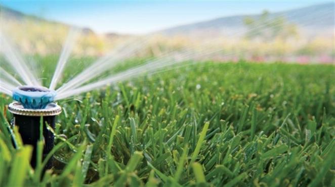 How often should I water my garden in Southern California