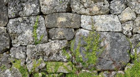 What are the types of natural building stones