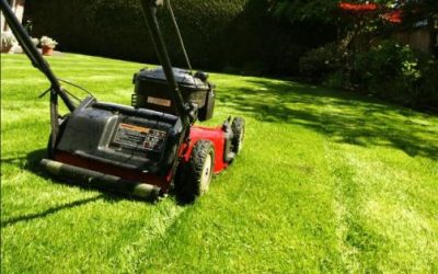 How much does it cost to cut 1 acre of grass in Texas?
