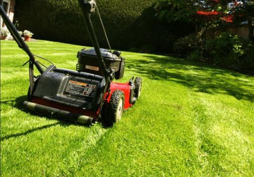 How much does it cost to cut 1 acre of grass in Texas?