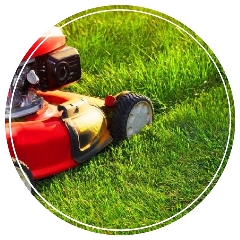 How much does lawn service cost in Atlanta