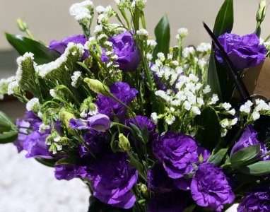 Purple flowers Names