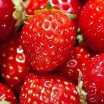 Which city in America is famous for Strawberry?