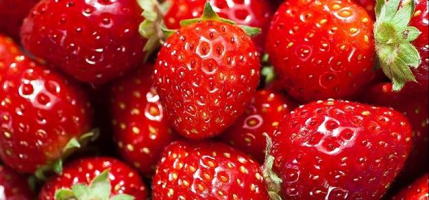 Which city in America is famous for Strawberry?
