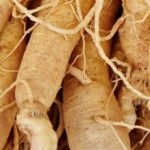 Most Valuable Herb Ginseng in South Korea