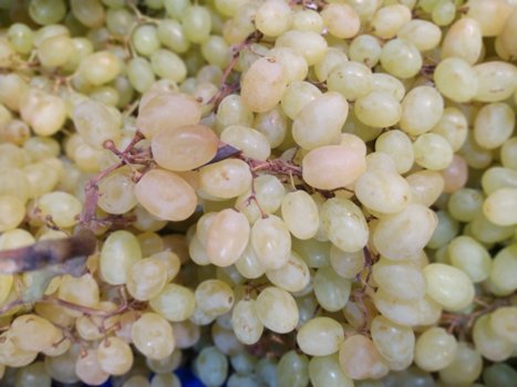 Moldovan grapes and wine