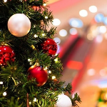 What is the most common type of Christmas tree in the US