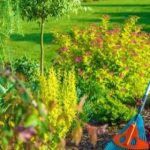 How to care for a garden in Canada?