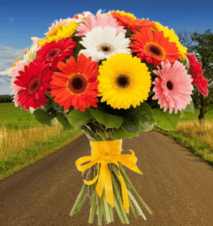 Norway Flower Sending Service, How to send flowers to Norway