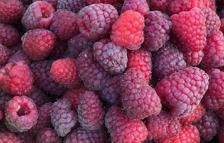 Do raspberries do well in Texas?