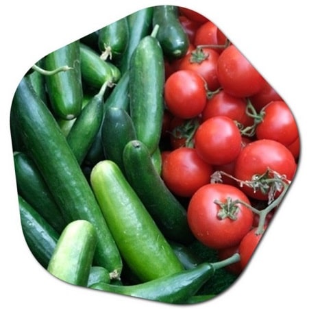 What are the 5 best vegetables grown in New York