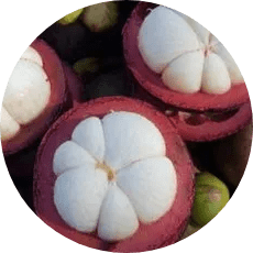 What are the exotic fruits of Indonesia