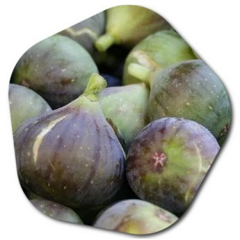 Are fresh figs or dried figs more beneficial