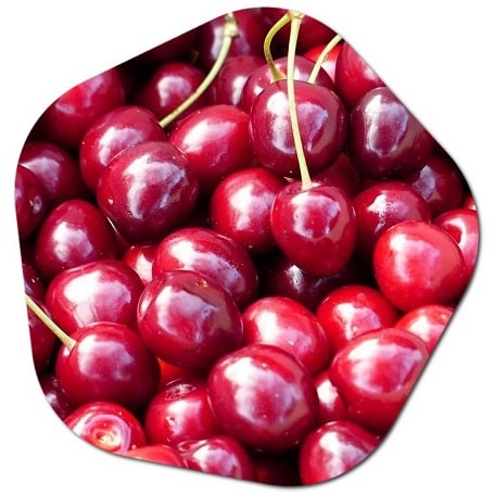 In which states can cherries grow in America