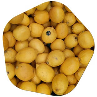 What are the types of lemons grown in America