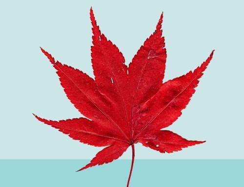 What is the national flower of Canada