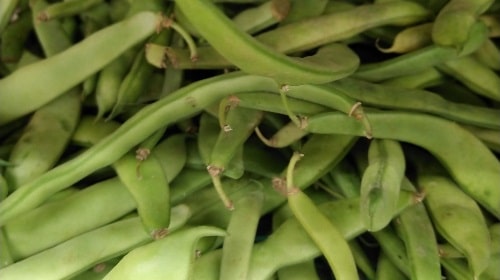 Where are green beans grown in the US
