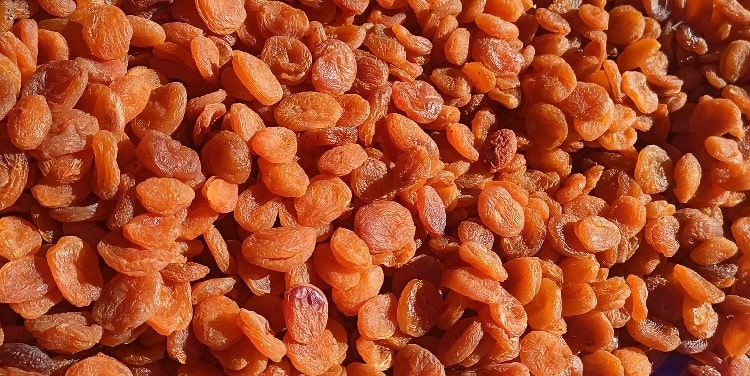 Do Turkish apricots come from Turkey? Are Turkish apricots better?
