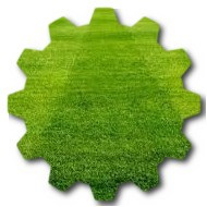 Grass cutting prices in Indianapolis