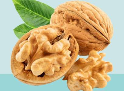 How many walnuts should I eat a day for my brain