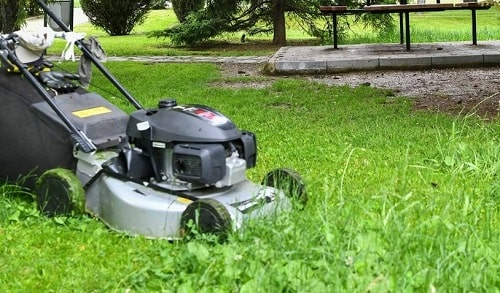How much does it cost to cut grass in Michigan