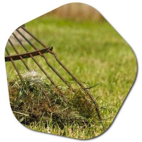How much does lawn care cost in Sacramento