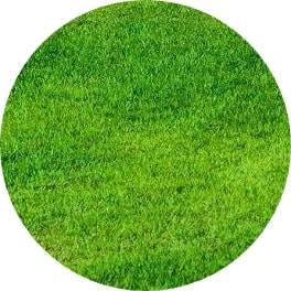 How much is lawn care in MN