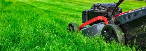 How often should you cut your grass in Maryland