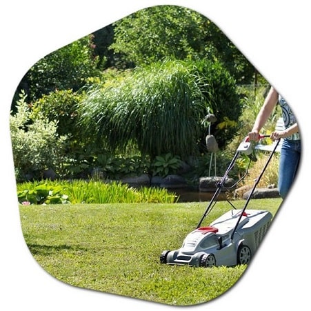 How often should you fertilize your lawn in Illinois