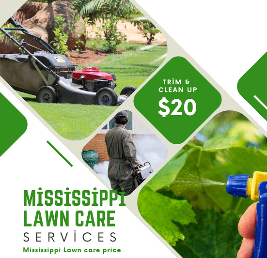 How to care for Mississippi lawn