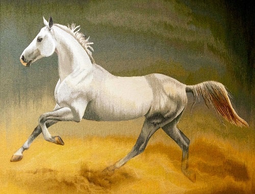 Is the Akhal-Teke a Turkmen horse breed