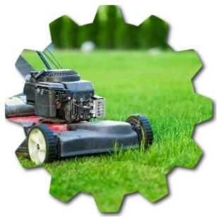 Recommendations for Annual Lawn Care