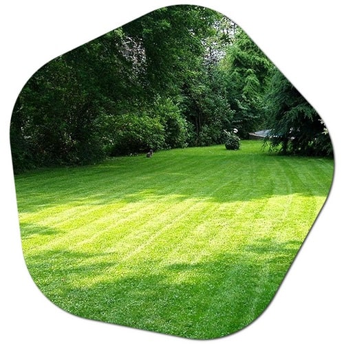 Topeka lawn care tips, Topeka grass cutting