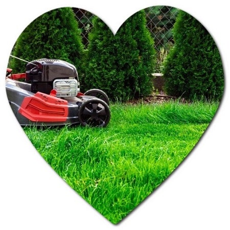 What is the best fertilizer for Michigan grass
