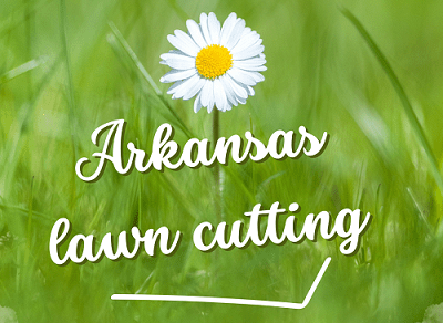 What is the best height to cut grass in Arkansas
