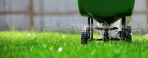 What is the best lawn treatment for Florida
