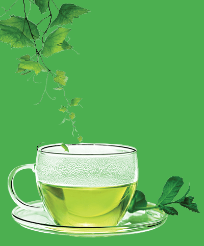 What is the healthiest herbal tea to drink daily