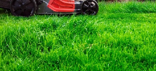 When should I fertilize my lawn in Boise Idaho