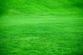 When should I fertilize my lawn in Delaware