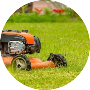 When should I start mowing my lawn in Lansing