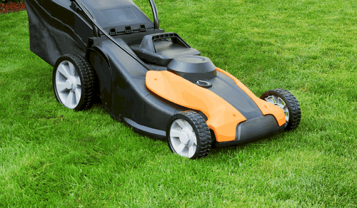 When should I stop mowing my lawn in Michigan