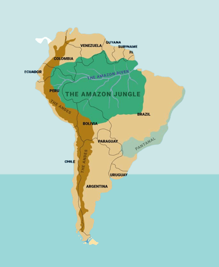 Where is Amazon jungle located