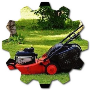 How much does it cost to get your lawn treated in Ohio