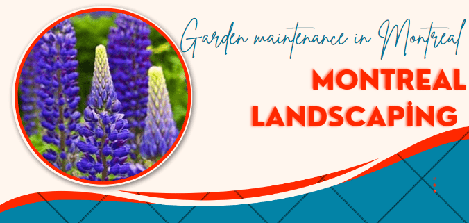 Landscaping company Montreal