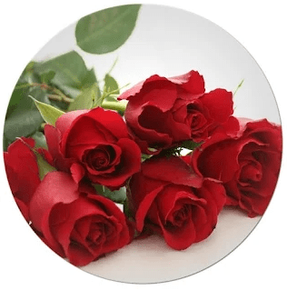 What climatic conditions do roses need to grow