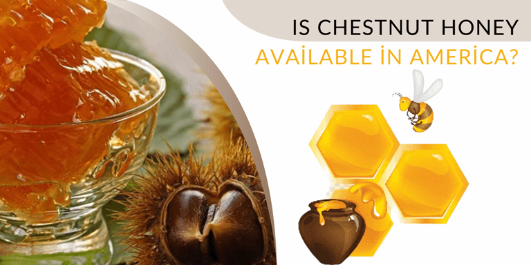 Is Chestnut Honey Available in America