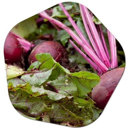 Is it OK to eat red beets everyday